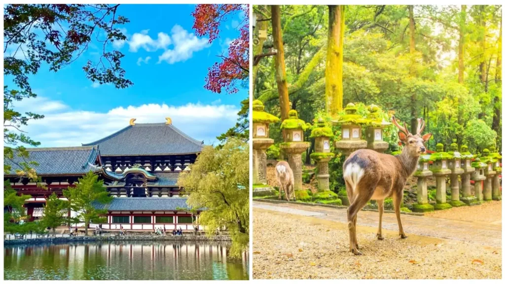 Kansai – Nara – Shirakawa-go – Takayama – Núi Phú Sĩ – Tokyo 6N5D