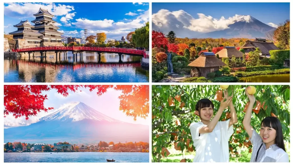 Kansai – Nara – Shirakawa-go – Takayama – Núi Phú Sĩ – Tokyo 6N5D