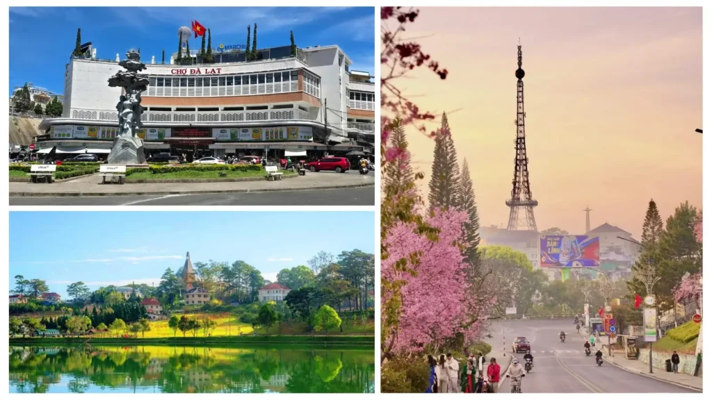 TP. Hồ Chí Minh – Đà Lạt (3N2Đ)