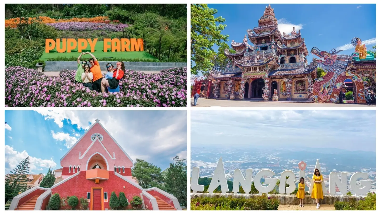 TP. Hồ Chí Minh – Đà Lạt 3N2D